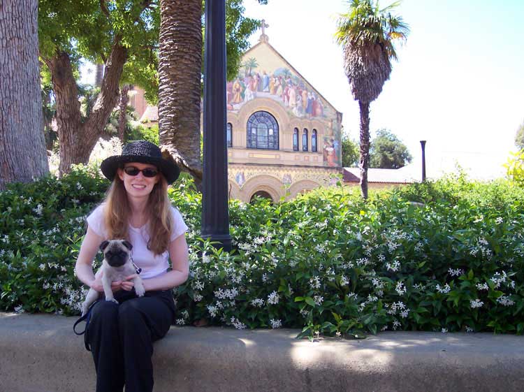 Little Sheba the Hug Pug Photo 00451