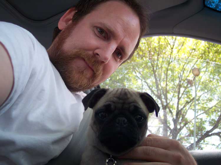 Little Sheba the Hug Pug Photo 00493